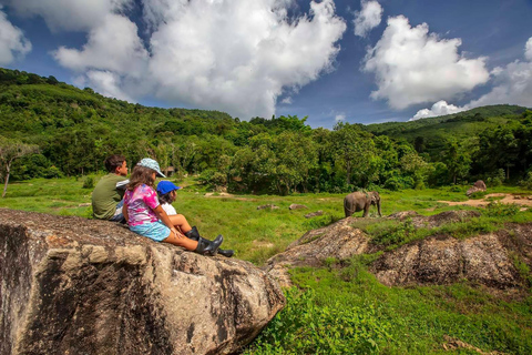 Phuket: Passeio e alimentação no parque natural de elefantes éticos