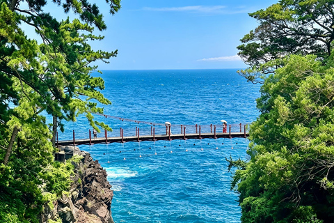 Small Group Day Tour:Omuro Mountain & the Izu Scenic Railway Hotel Transfer Option