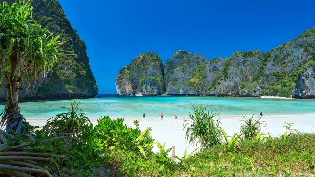 Visit Phuket Phi Phi Islands and Maya Bay Day Trip with Lunch in Patong Beach, Phuket, Thailand