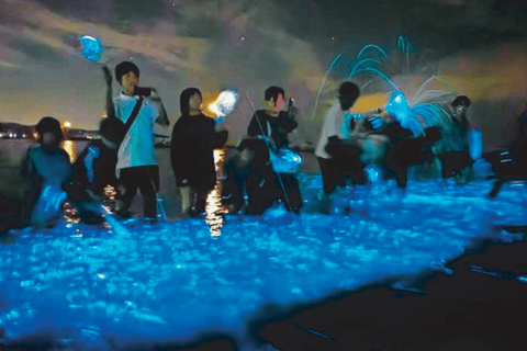 From Osaka: Awaji Island Magical Blue Sea Firefly Night Tour From Namba
