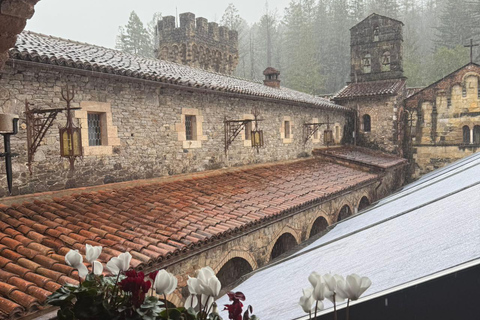 Desde San Francisco: Excursión a las Bodegas del Valle de Napa