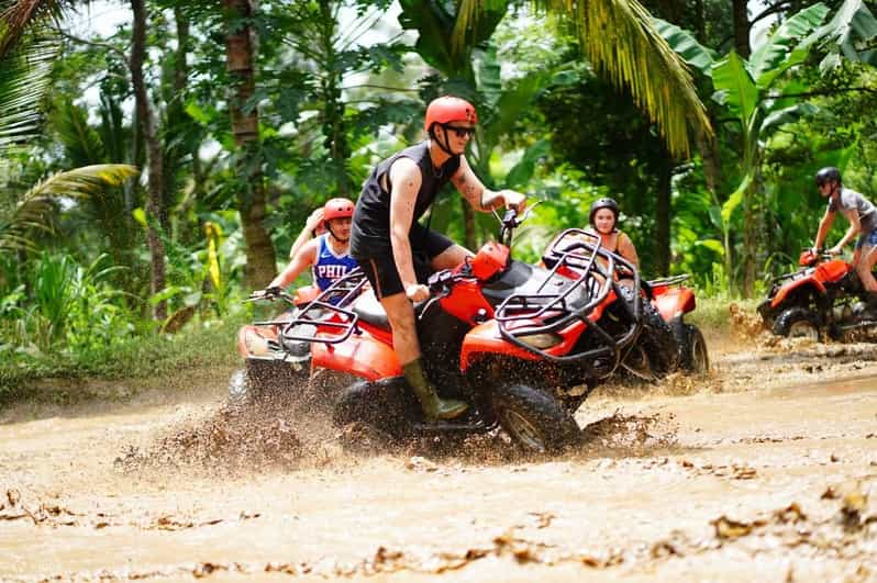 Bali : aventure en quad et découverte de la forêt des singes | GetYourGuide