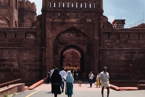 Tour de día completo por lo mejor de Delhi: cultura, comida y monumentosTour guiado en grupo de un día completo