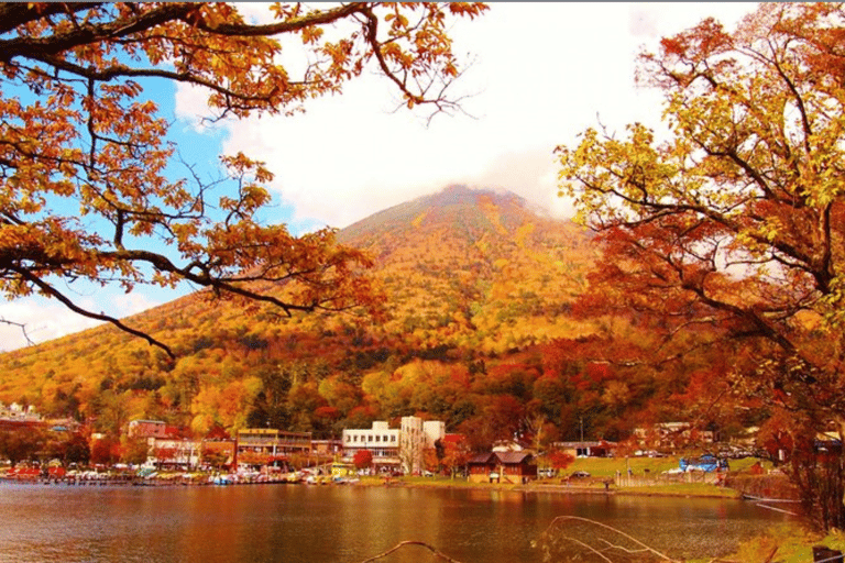 Kioto/Osaka: Kioto y Nara Excursión de un día con guía personalizada