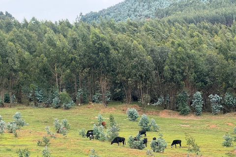 Blue Nile Gorge Wildlife & Cultural Day Trip