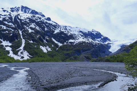 Seward: Guided Marmot Meadows Hike with Lunch