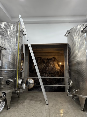 Catania: Etna Wine Tour and Culinary Experience