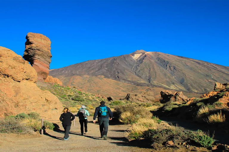 From South Tenerife: Half-Day Tour to Mount TeidePickup from Meeting Points in South Tenerife