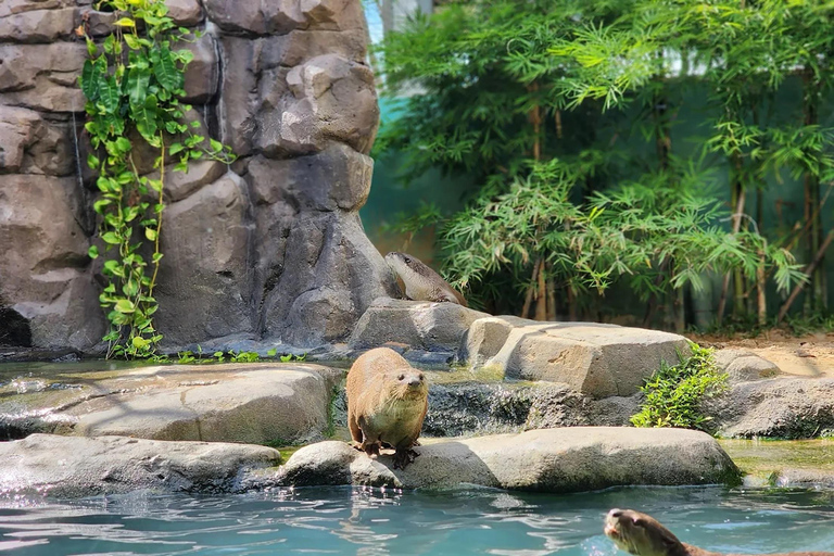 Siem Reap: Angkor Wildlife & Aquarium Entrance Ticket