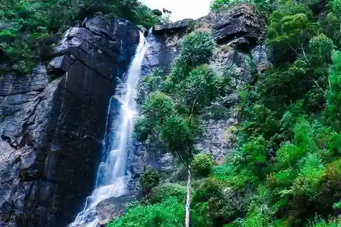 From Ella: 2-Day Tour to Nuwara Eliya and Kandy with Drop