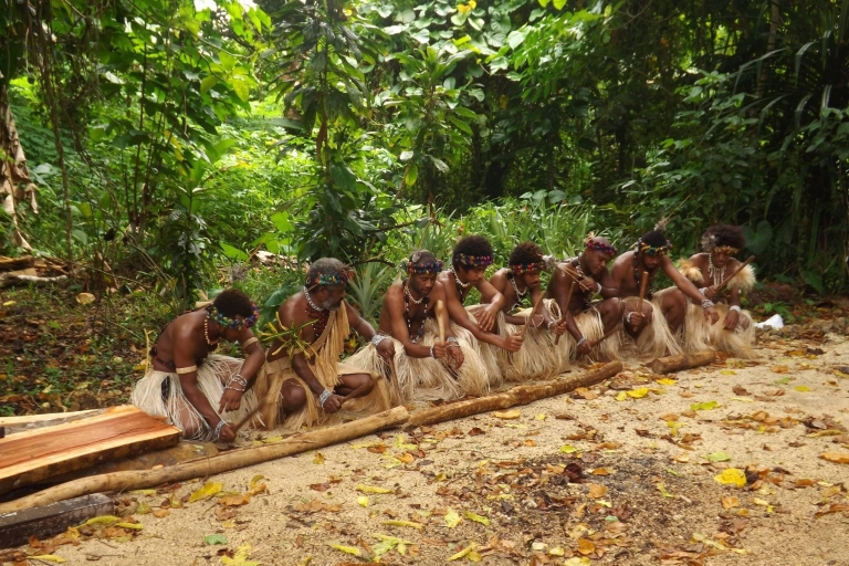 Vanuatu: Port Vila tour guiado con traslados