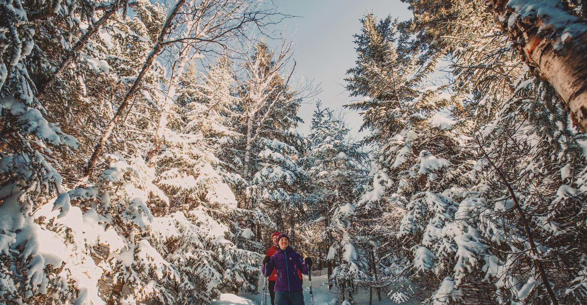 From Montreal: Mont-Tremblant National Park Hiking Day Trip photo 3