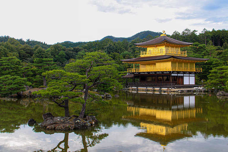 Depuis Osaka/Kyoto : Excursion privée d&#039;une journée à Kyoto et Nara