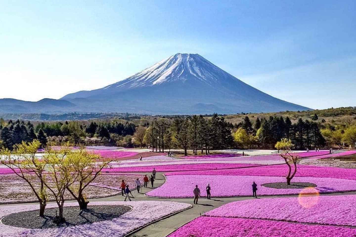 Private Tour From Tokyo To Mount Fuji with Custom Itinerary - Mt. Fuji Private Day Trip with Local Guide