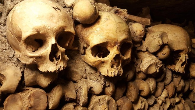 Visit Paris Catacombs Access Ticket And Optional Hosted Tour in Paris
