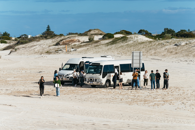 The Pinnacles: Desert Sunset y Star-Gazing Tour desde Perth