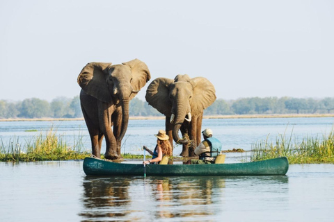 Okavango Delta: Mokoro Canoe Safari with Bush Walk