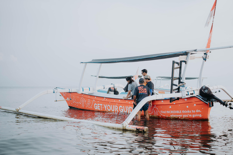 North Bali: Dolphin Swim, Snorkeling, & Waterfall Cliff Jump Small Group With Hotel Transfer Central Bali