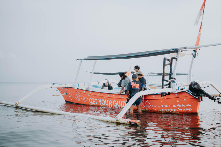 North Bali: Dolphin Swim, Snorkeling, & Waterfall Cliff Jump Small Group With Hotel Transfer Central Bali
