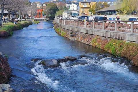 Hakone: Self Guided Trip to Mount Fuji.