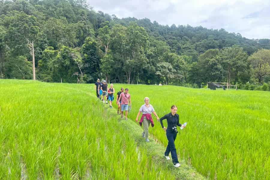 Chiang Mai: Nationalpark Doi Inthanon 1 Tag (Hoteltransfer). Foto: GetYourGuide Chiang Mai: Nationalpark Doi Inthanon 1 Tag (Hoteltransfer). Foto: GetYourGuide