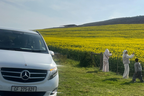 Cape Town: Table Mountain Cableway Ticket