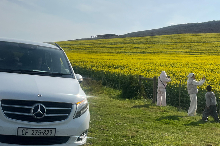 Cape Town: Table Mountain Cableway Ticket