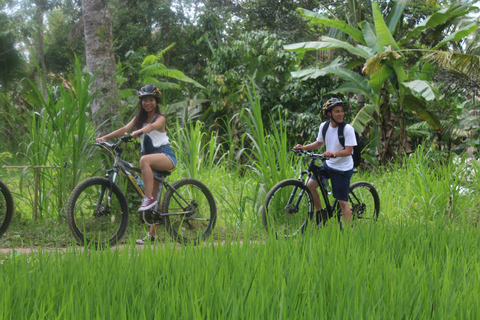 Ubud : Excursion à vélo en descente depuis Kintamani