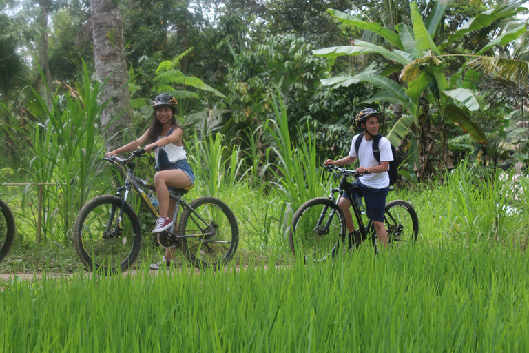 Ubud: Downhill Bike Tour von Kintamani