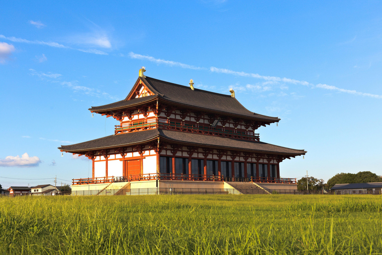 Nara Private Tour from Osaka: Hidden Gems & Ancient Stories