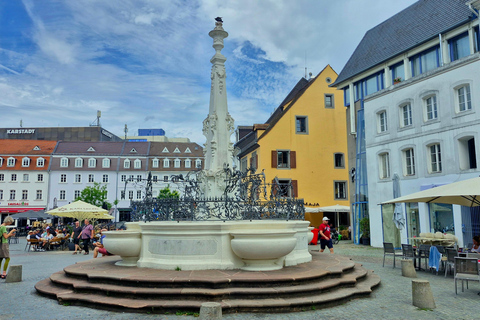 ساربروكن: جولة تذوق النبيذ الإقليميةساربروكن: جولة تذوق النبيذ الإقليمي