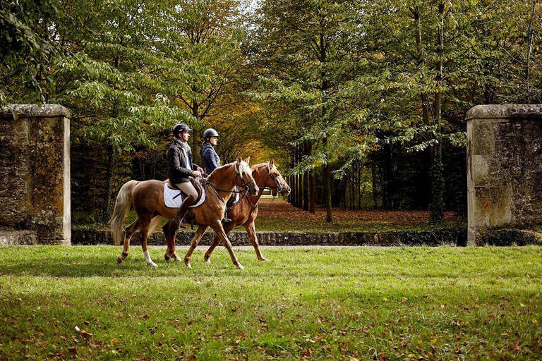 Versailles: Tour and Horseback Riding
