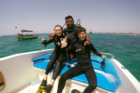 Hammamet: Guided Diving Experience with Hotel Transfer