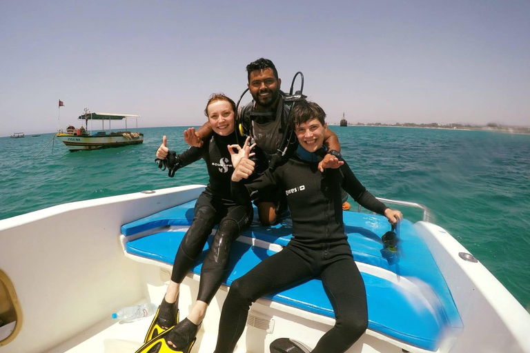 Hammamet: Guided Diving Experience with Hotel Transfer