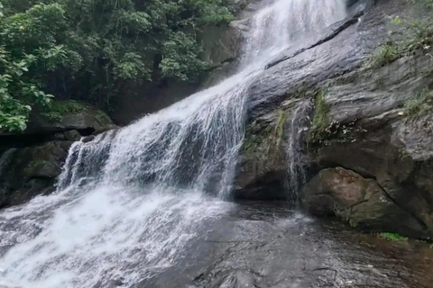 Excursion aller-retour d'une journée à Munnar, à partir de Kochi, comprenant tous les éléments essentiels