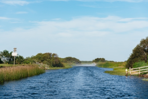 Kissimmee : excursion d’1 h en hydroglisseur aux Everglades