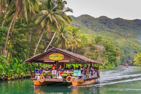 From Cebu: Bohol Countryside Tour Day Trip with Buffet Lunch