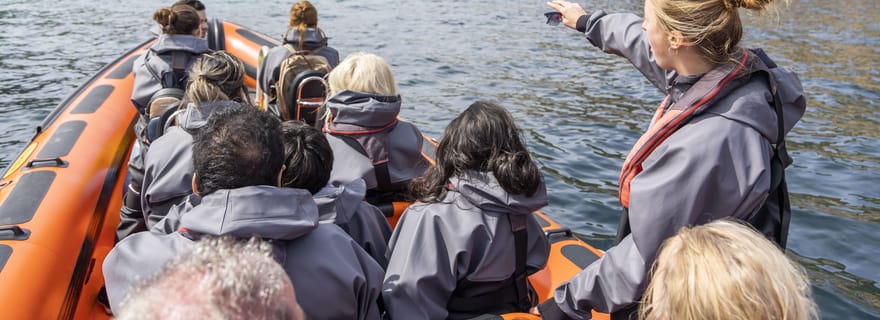 Penzance : Tour en bateau de Land's End avec des guides de la faune et de la flore