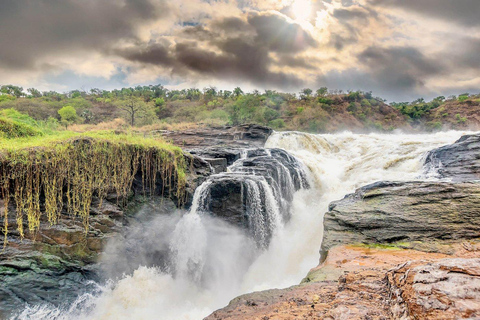 5-Day Murchison Falls Safari with Ziwa Rhinos