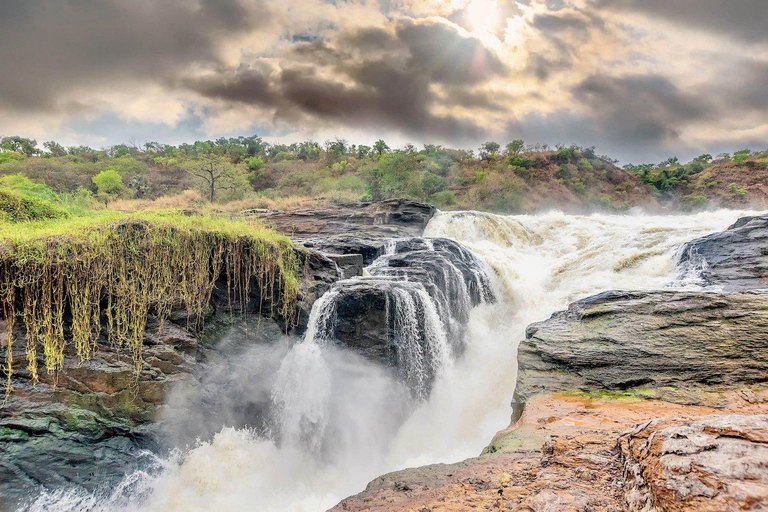 5-Day Murchison Falls Safari with Ziwa Rhinos