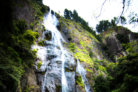 Colombo to Aberdeen Falls Train Tour with private vehicle