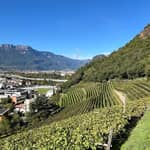 Scopri Bolzano: storia e natura con degustazione di vini al Thurnhof