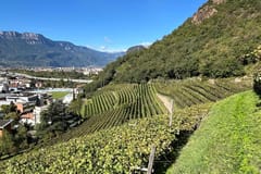 Bozen entdecken: Geschichte & Natur mit Weinprobe am Thurnhof