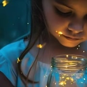 Bali: Magical Fireflies Tour in Taro Village with Dinner
