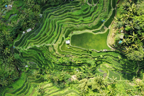 BALI : Séance photo et vidéo, visite privée personnalisée,✅ VOYAGES À LA PORTE DU PARADIS - FORFAIT TOUT COMPRIS