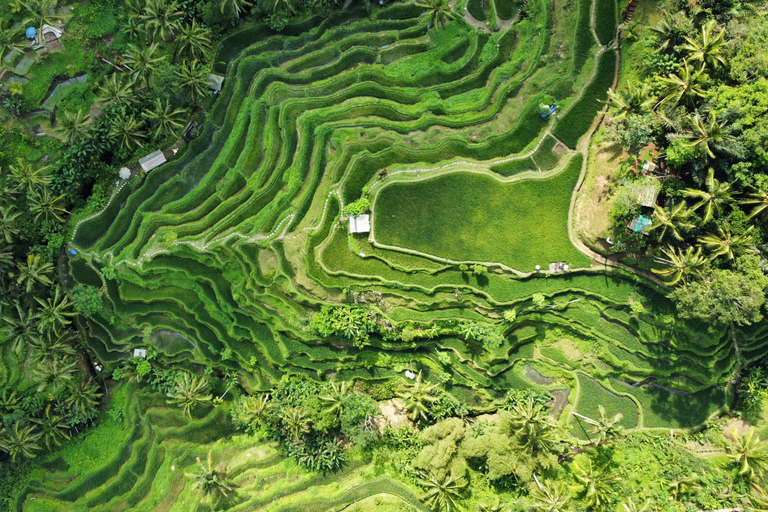 BALI: Servizio fotografico e video, Tour privato personalizzato,✅Scopri la cascata del nord ovest