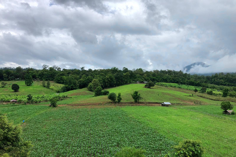 Pai: Aventura de tirolina en la selva con 16 plataformasRecorrido compartido con traslados al hotel