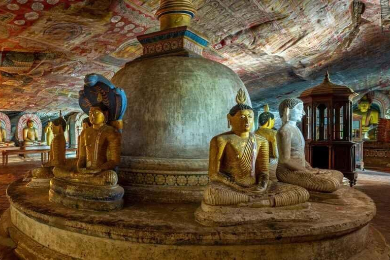 Transfer to Kandy/Sigiriya/Dambulla from CMB Airport/Colombo Transfer to Dambulla from Colombo Airport (CMB)/Colombo