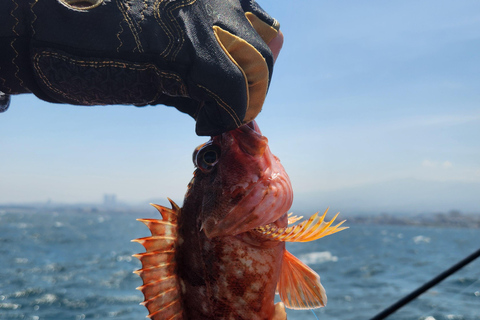 Jeju: verborgen parels, zeebootvisreis met lunchJeju: verborgen parels, zeebootvisvakantie met lunch