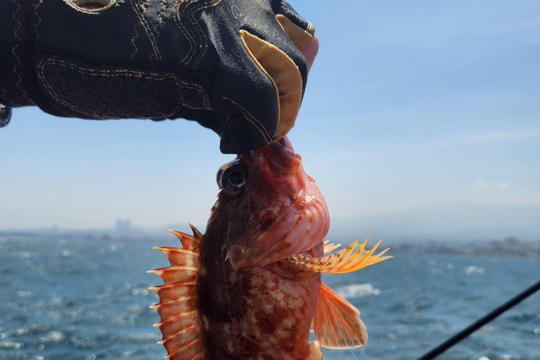 Jeju: verborgen parels, zeebootvisreis met lunchJeju: verborgen parels, zeebootvisvakantie met lunch